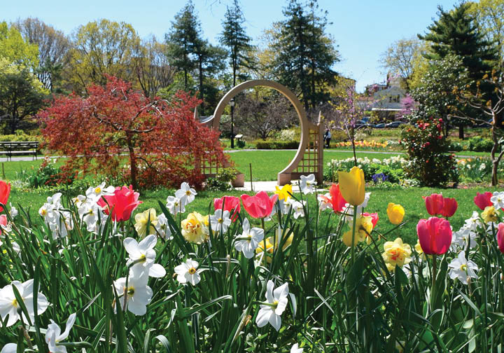 Queens Botanical Gardens The Center